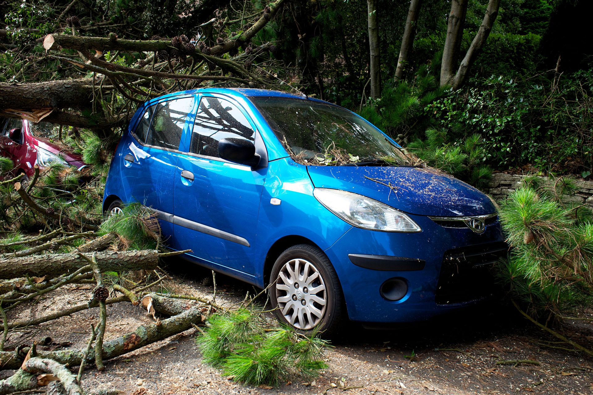 A blue car trapped under fallen trees in a post-storm scene in the UK.